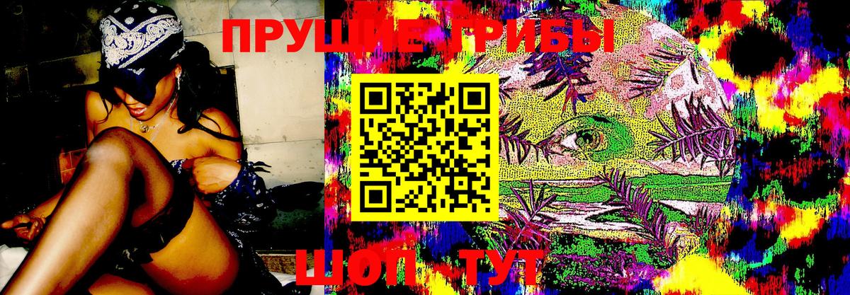 Галлюциногенные грибы GOLDEN TEACHER  Галлюциногенные грибы Psilocybine cubensis  Кировск  Вход с VPN 